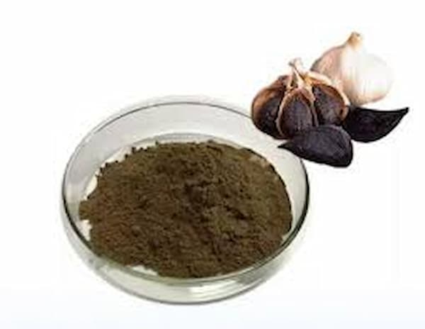 تصویر 4 از قیمت خرید پودر سیر سیاه + فروش ویژه
